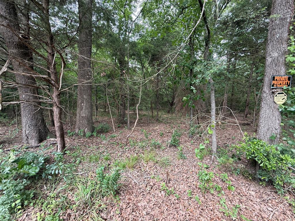 15 Acres County Road 2324 Property Photo 6