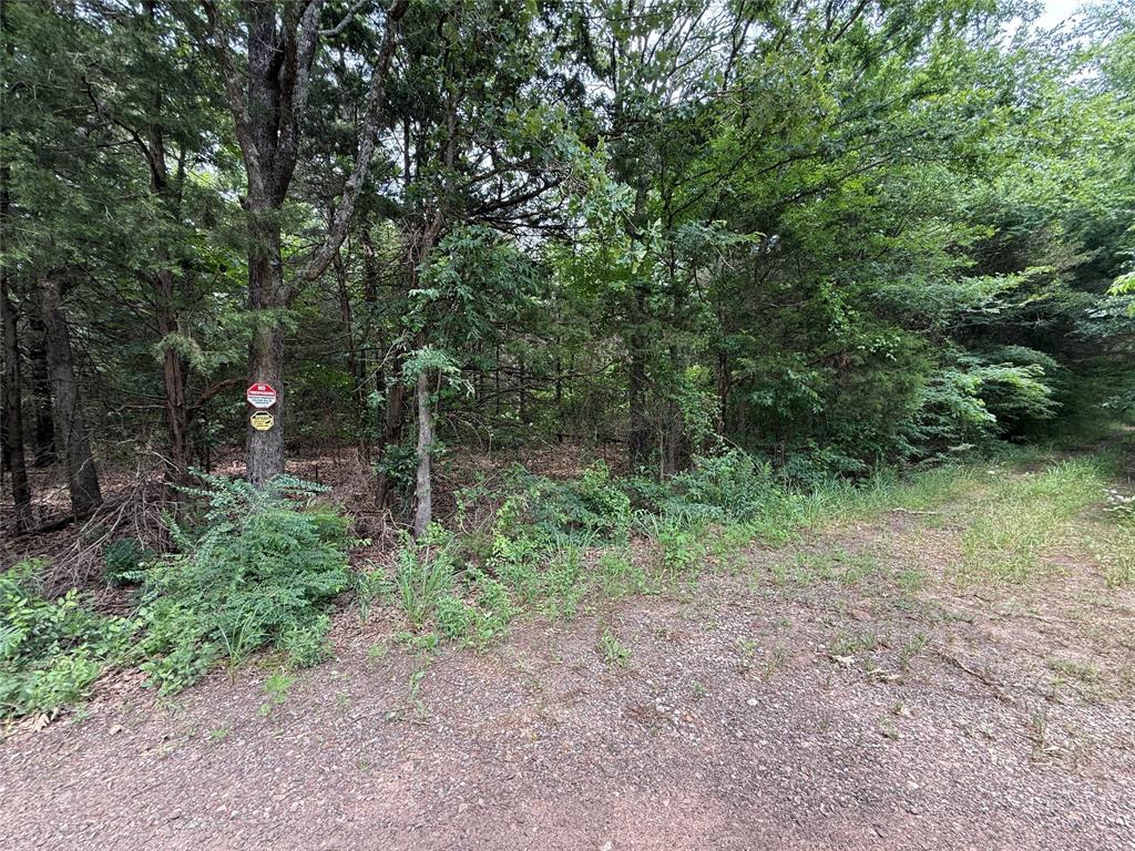 15 Acres County Road 2324 Property Photo 8
