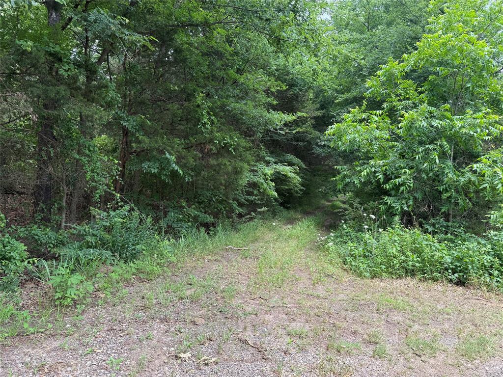 15 Acres County Road 2324 Property Photo 10