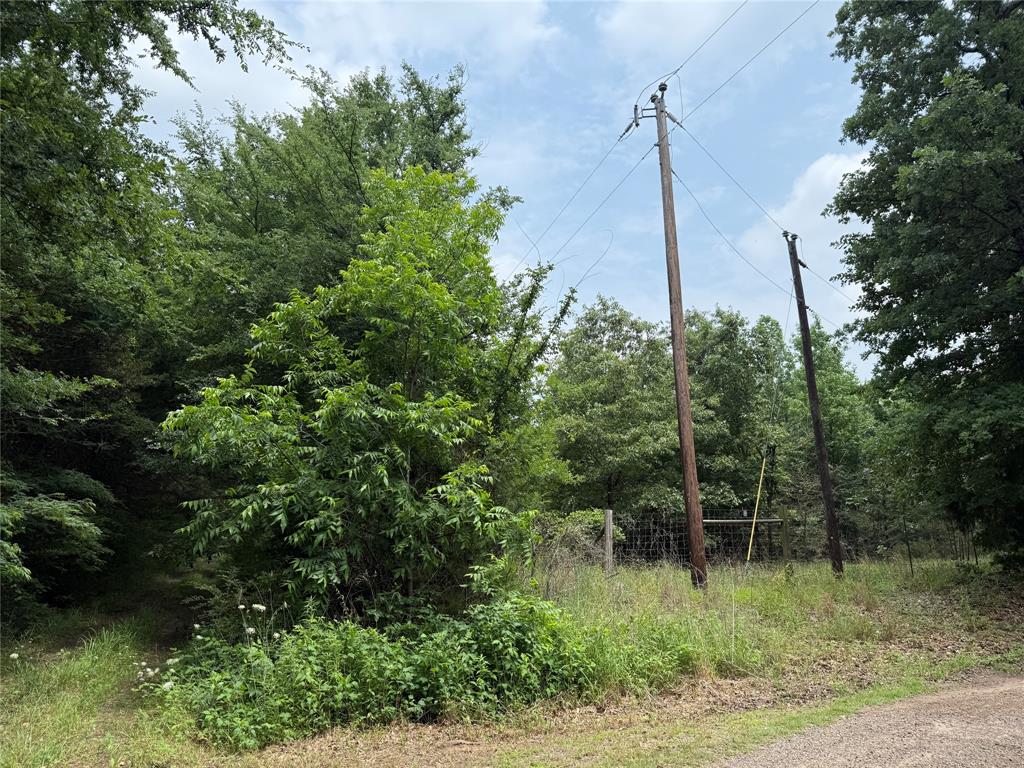 15 Acres County Road 2324 Property Photo 11