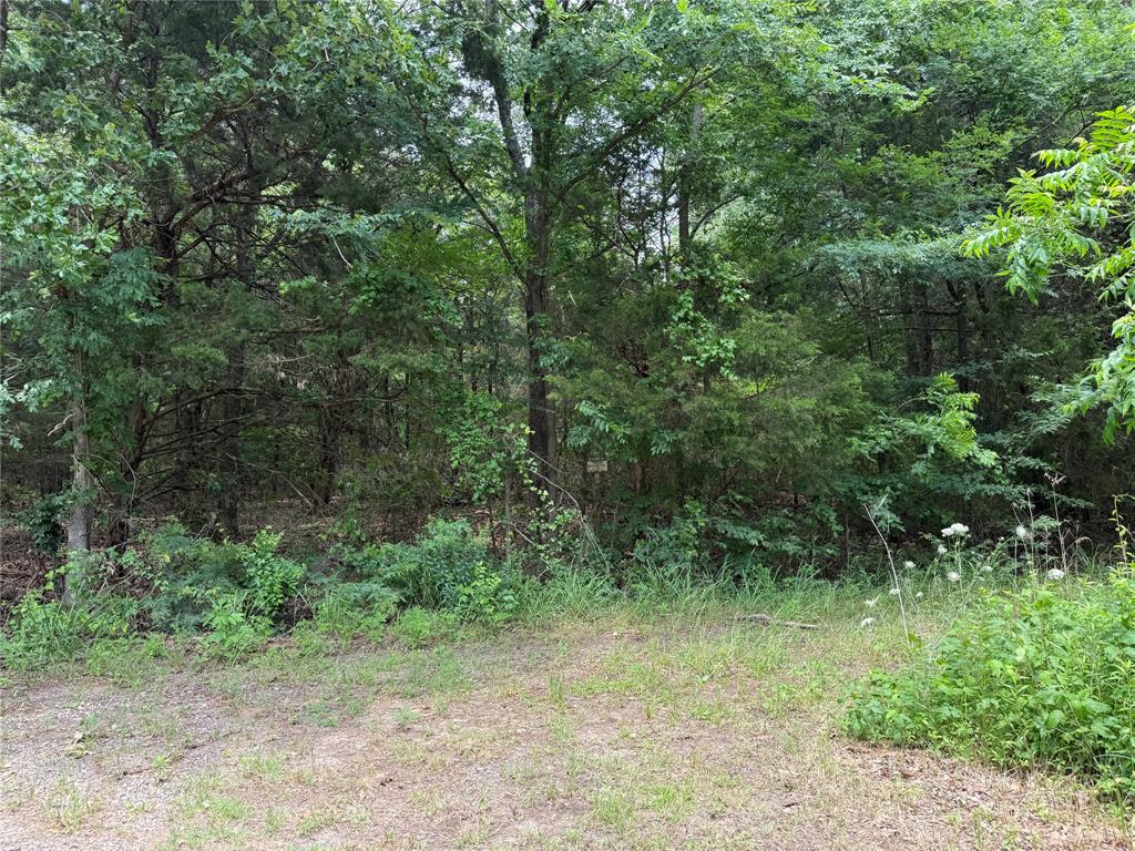 15 Acres County Road 2324 Property Photo 12