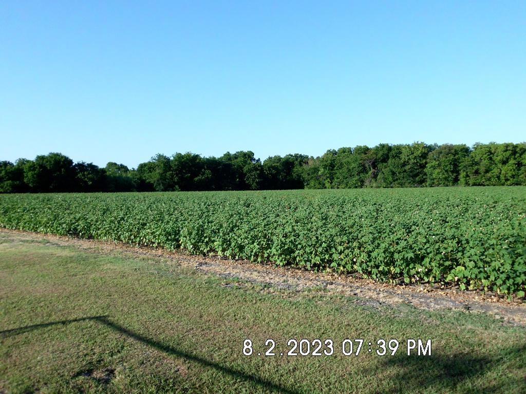 Tbd Fm 744 Property Photo 2