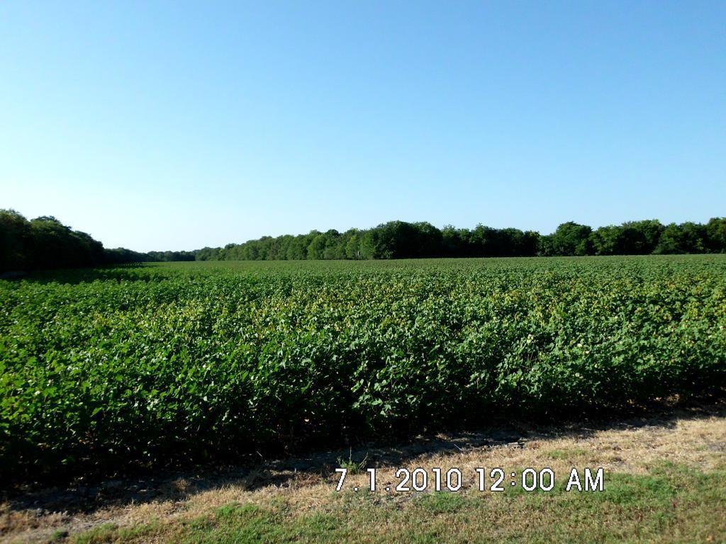 Tbd Fm 744 Property Photo 5