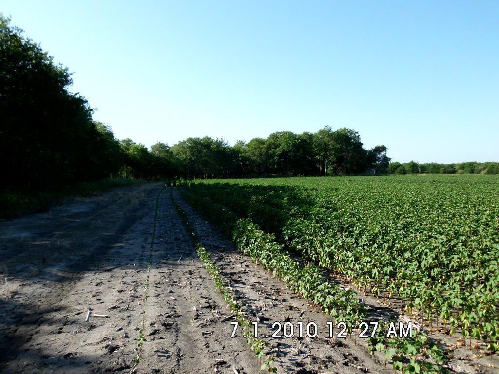 Tbd Fm 744 Property Photo 6