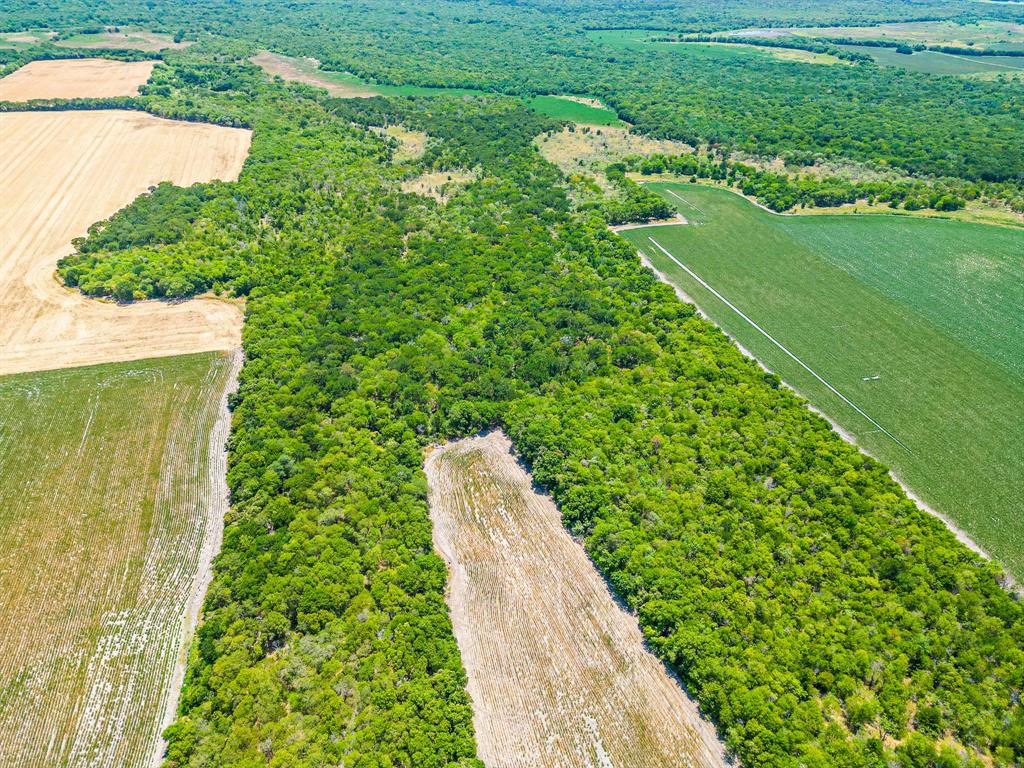 Tbd Fm 744 Property Photo 24