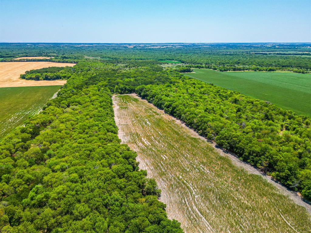 Tbd Fm 744 Property Photo 25