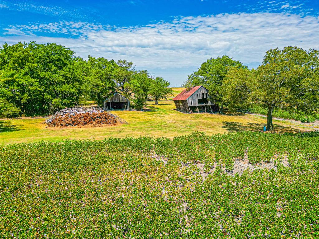 Tbd Fm 744 Property Photo 29