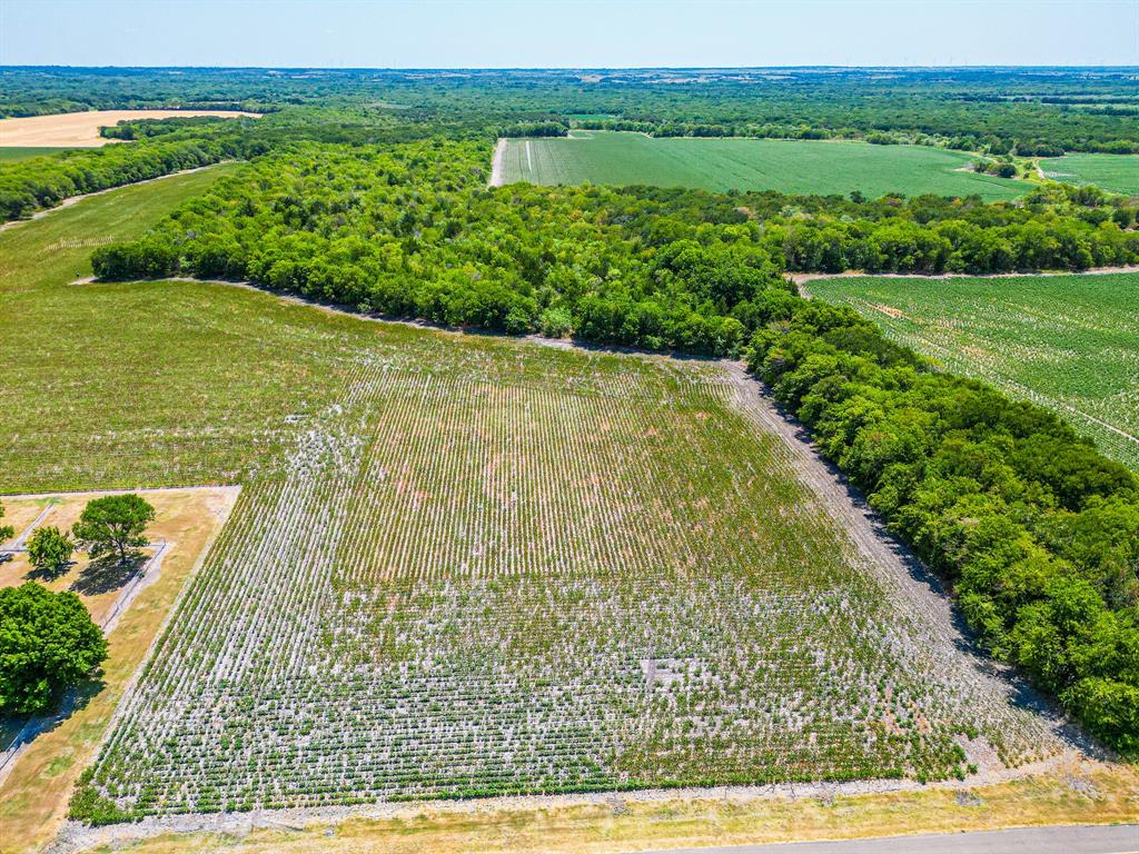 Tbd Fm 744 Property Photo 33
