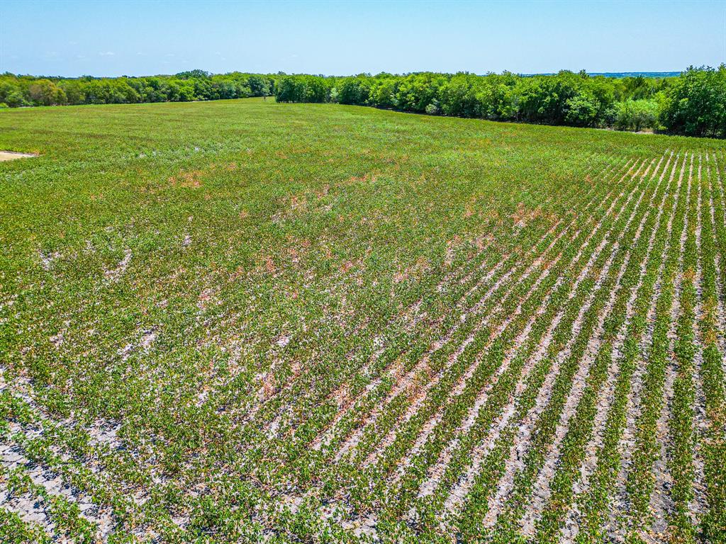 Tbd Fm 744 Property Photo 38