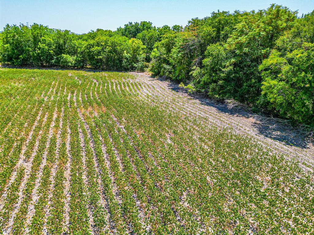 Tbd Fm 744 Property Photo 39