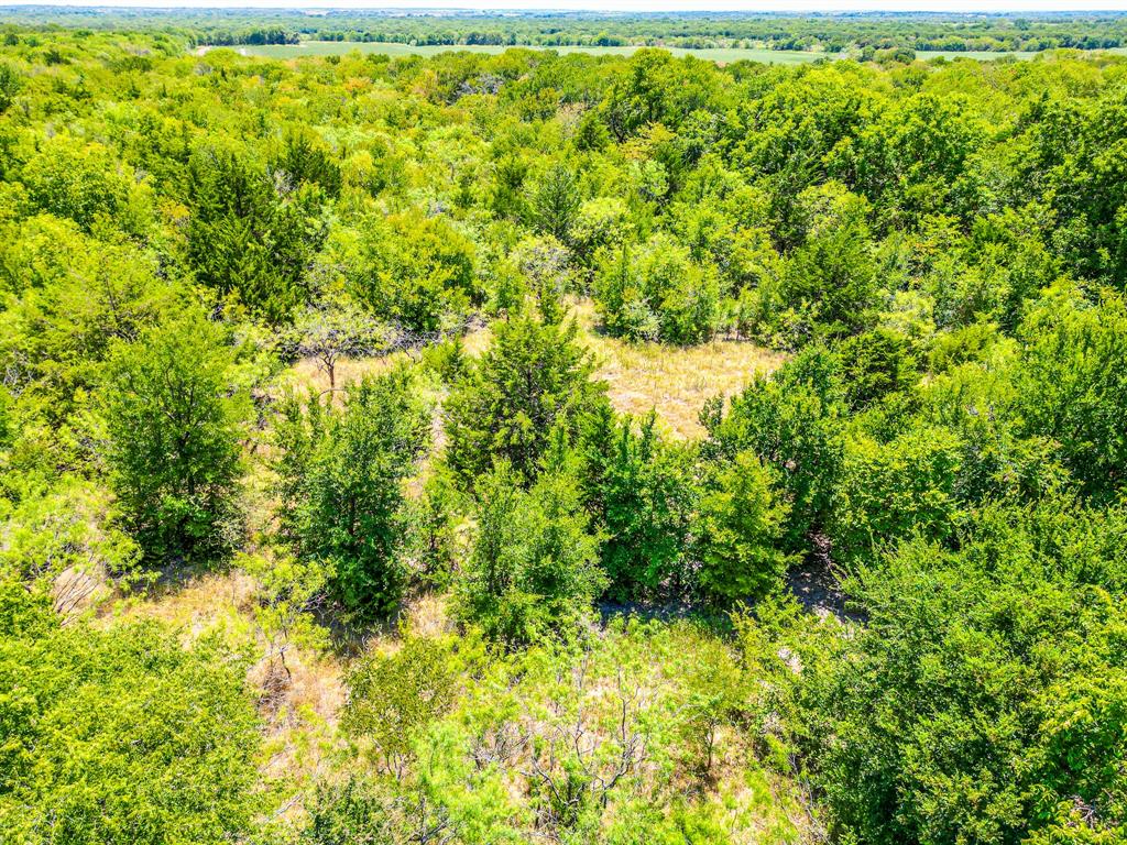 Tbd Fm 744 Property Photo 40