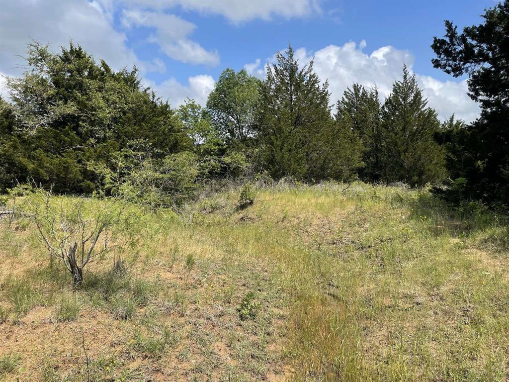 0 Cr-1990 Property Photo 11