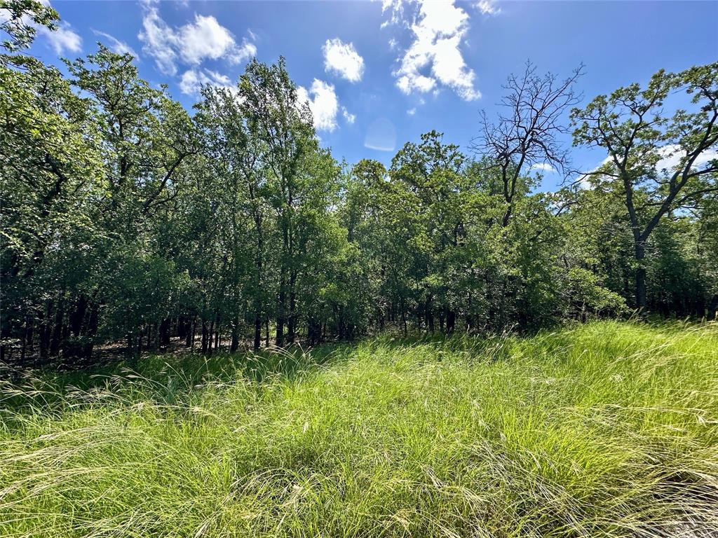 694 Spring Valley Road Property Photo 15