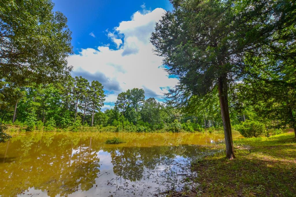 10933 County Road 4233 Property Photo 1