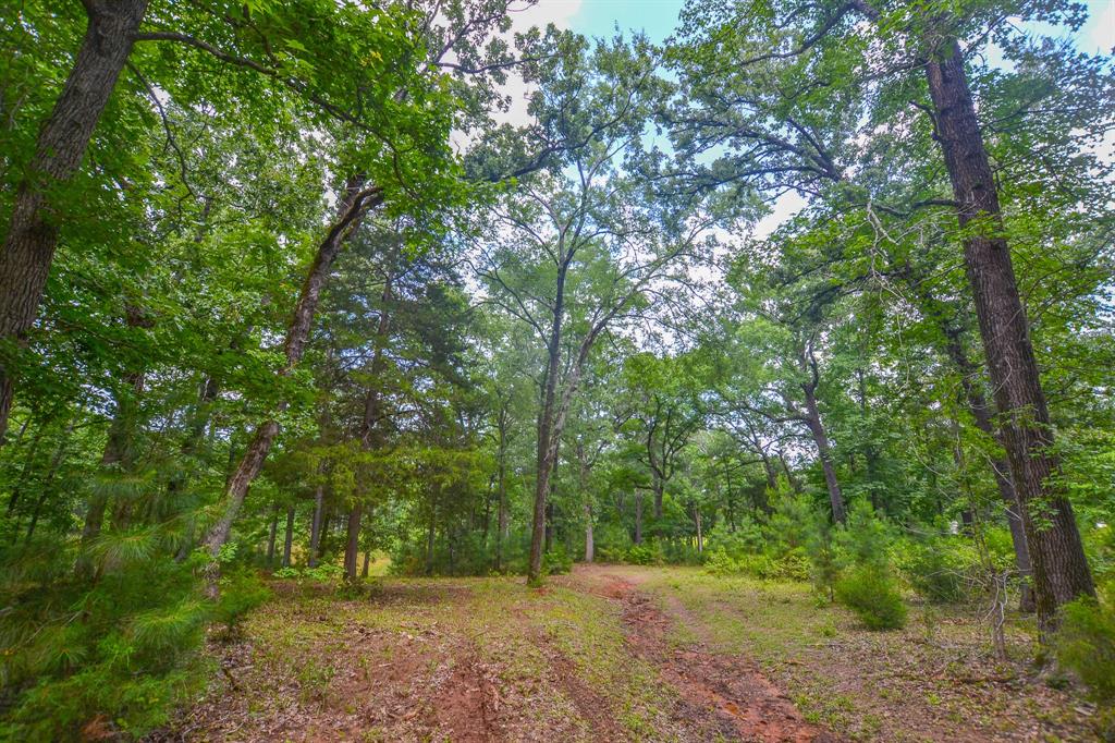 10933 County Road 4233 Property Photo 3