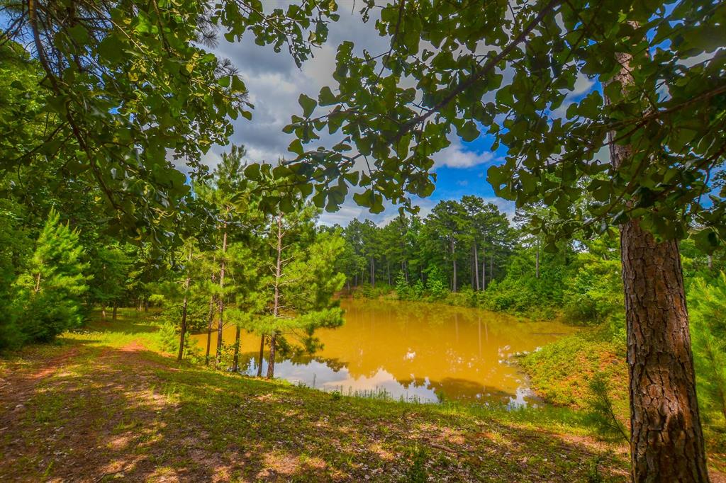 10933 County Road 4233 Property Photo 4