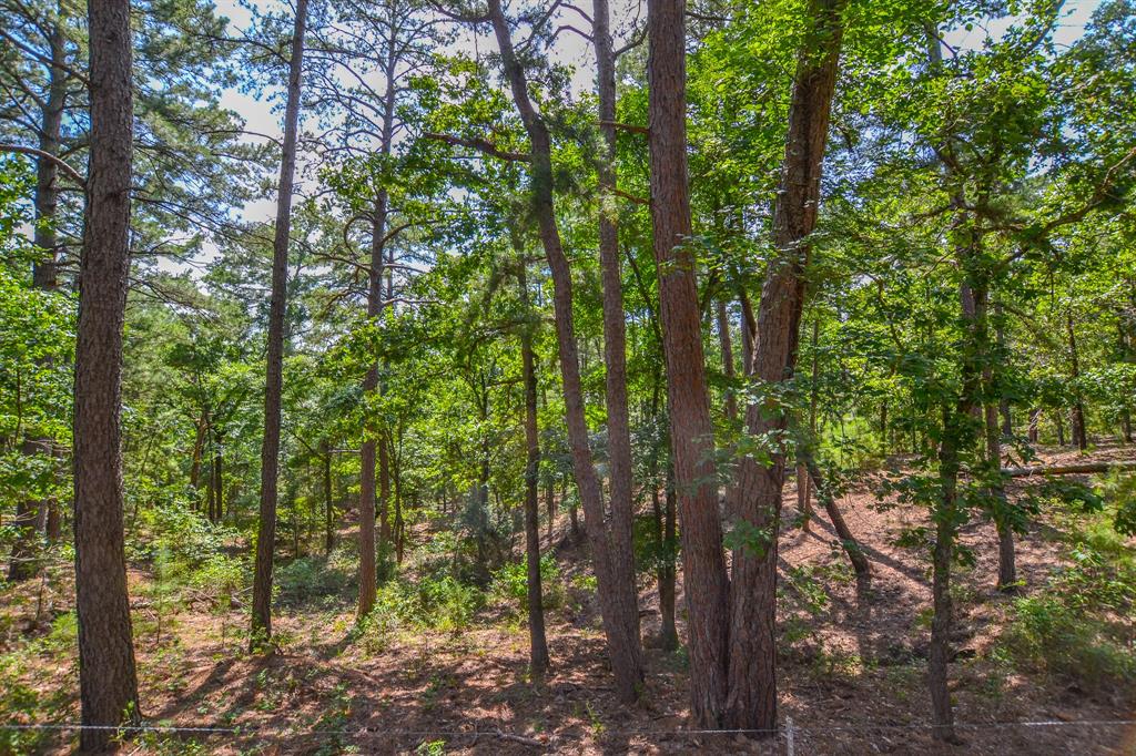 10933 County Road 4233 Property Photo 5