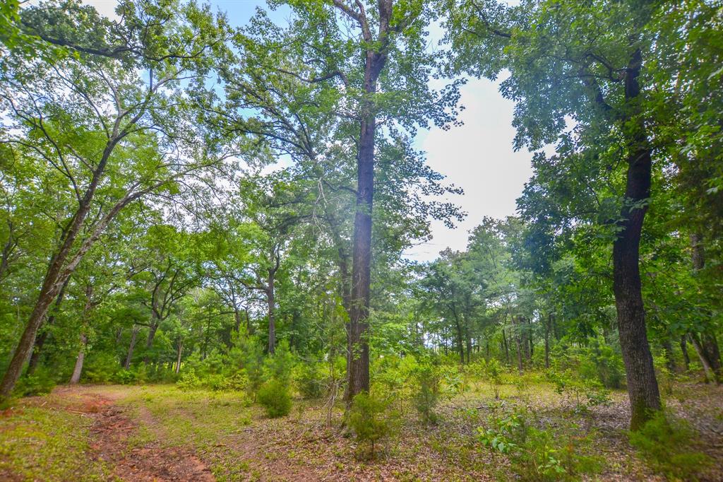10933 County Road 4233 Property Photo 9