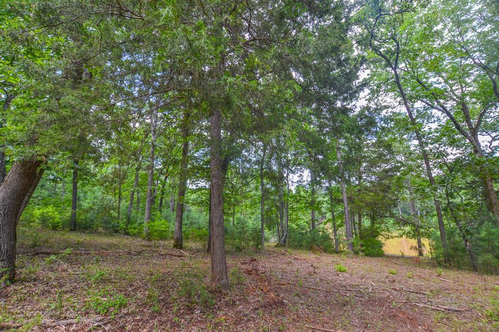 10933 County Road 4233 Property Photo 10