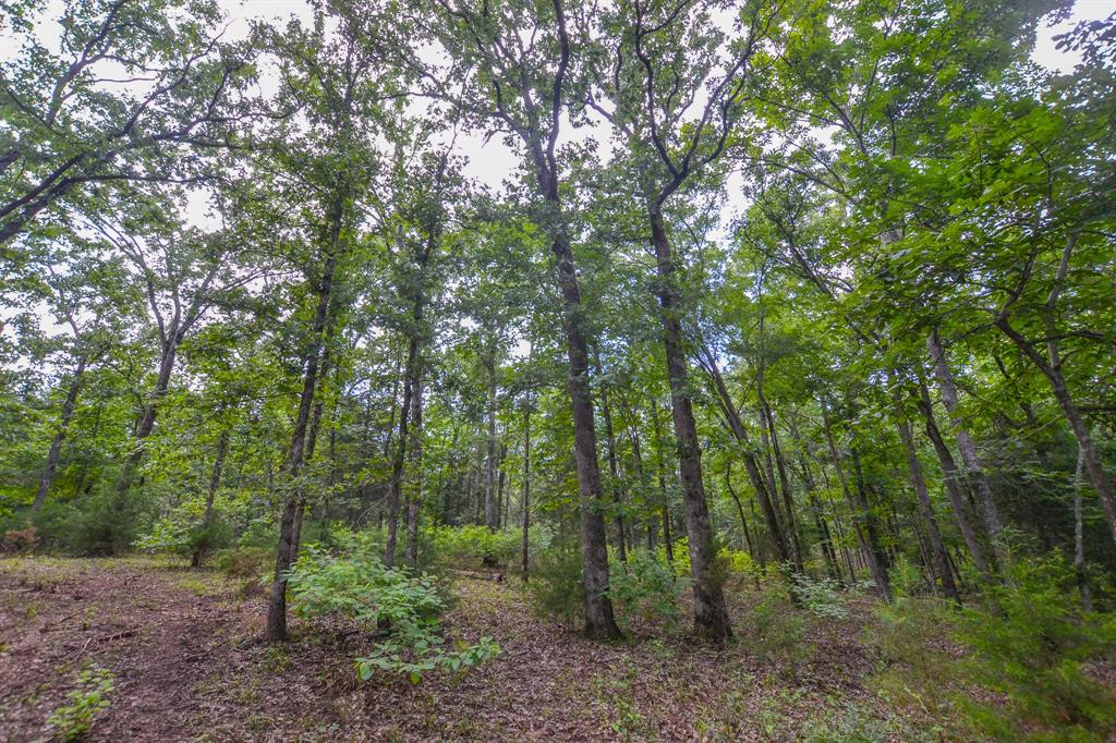 10933 County Road 4233 Property Photo 11