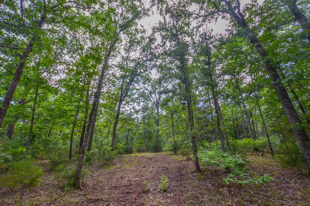 10933 County Road 4233 Property Photo 12