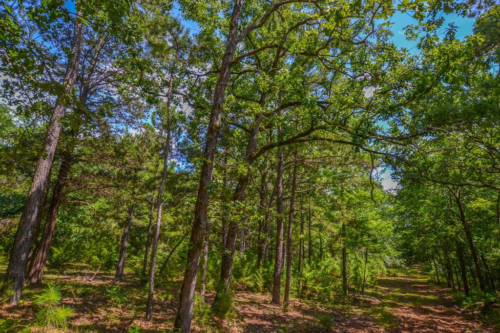 10933 County Road 4233 Property Photo 14