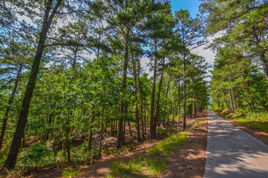 10933 County Road 4233 Property Photo 17