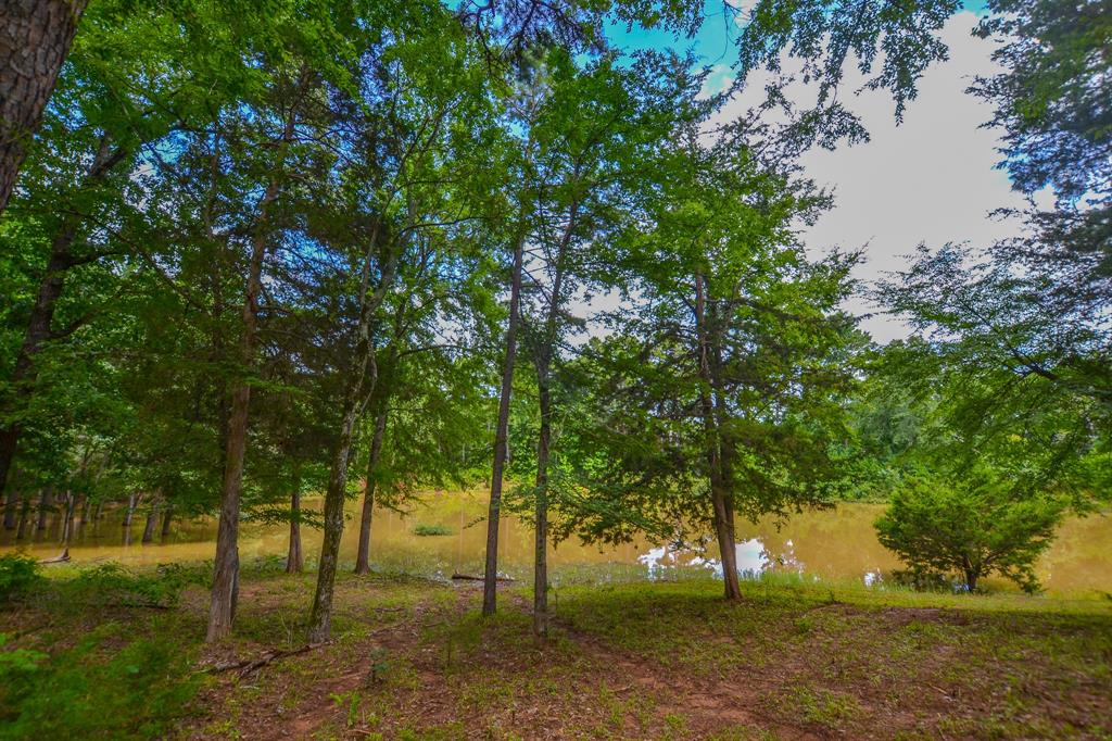 10933 County Road 4233 Property Photo 23