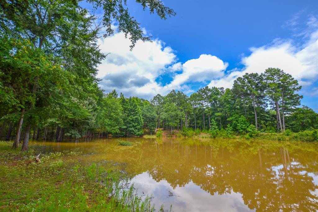 10933 County Road 4233 Property Photo 24