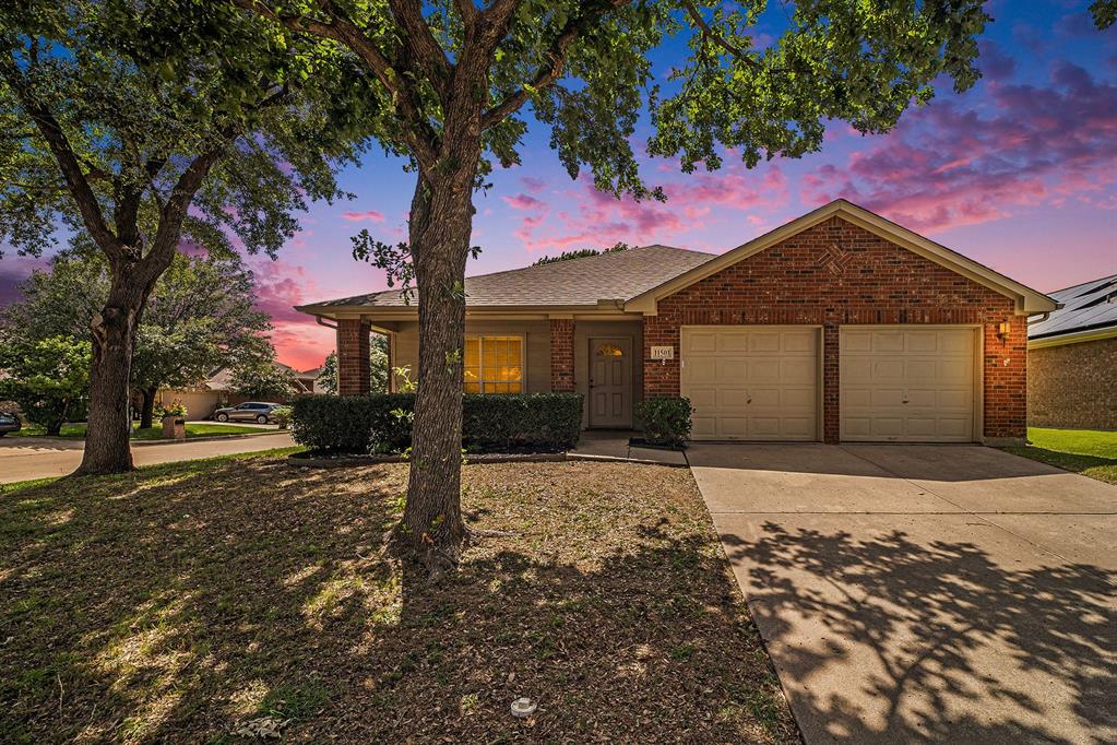11501 Cactus Springs Drive Property Photo 1