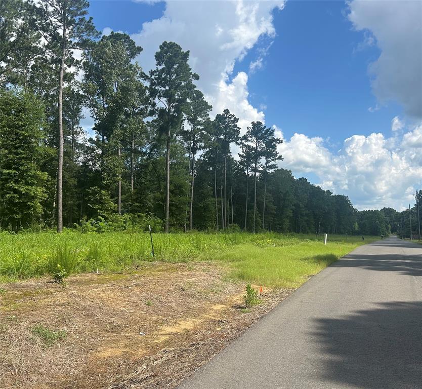 Lot 10 Pine Grove Road Property Photo 1