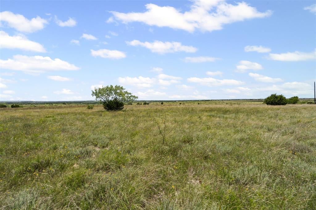 Tbd County Road 619 Property Photo 6