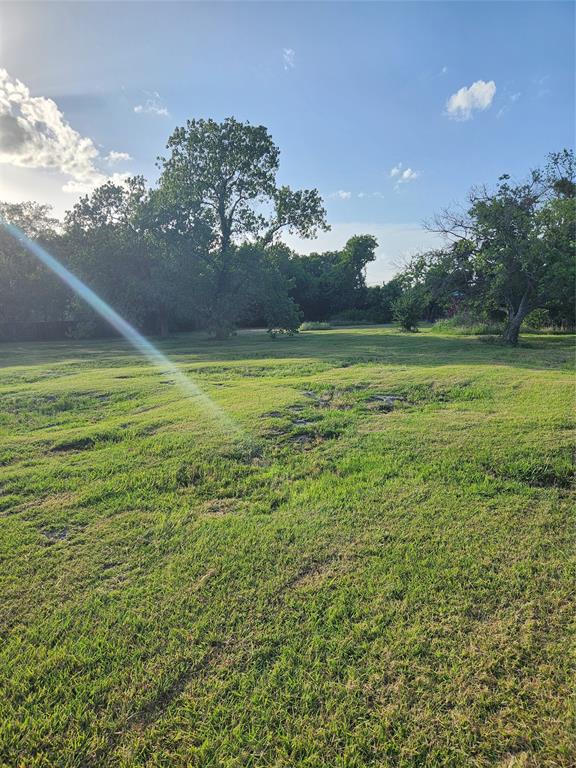 7913 Wayne Way Property Photo 3