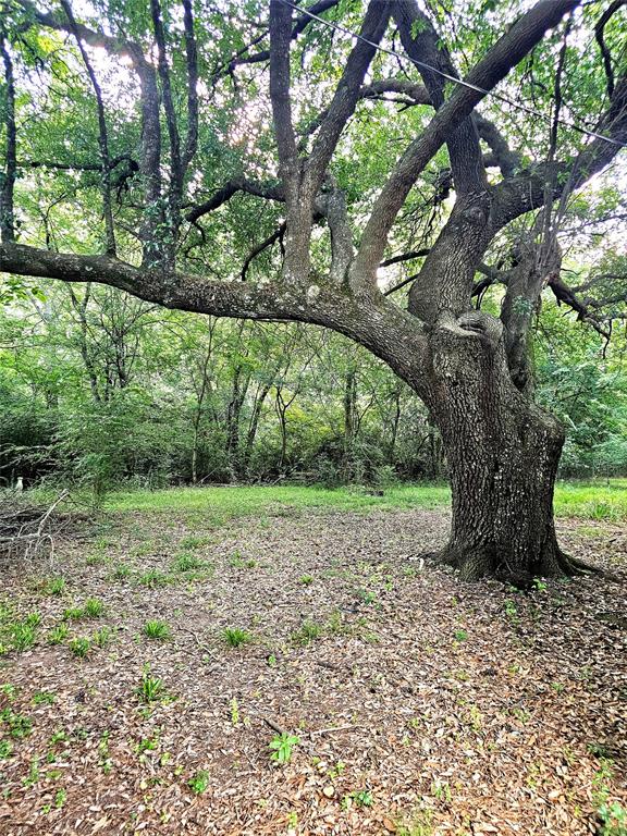 4448 Greenwood Boulevard Property Photo 8