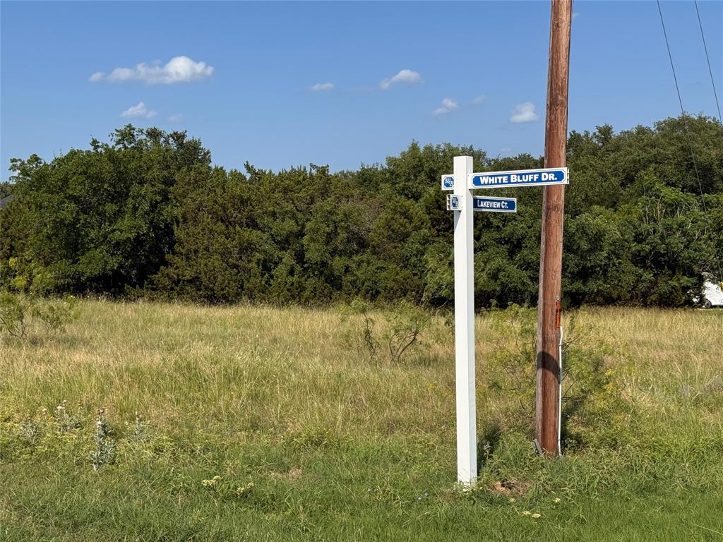 19066 White Bluff Drive Property Photo 2