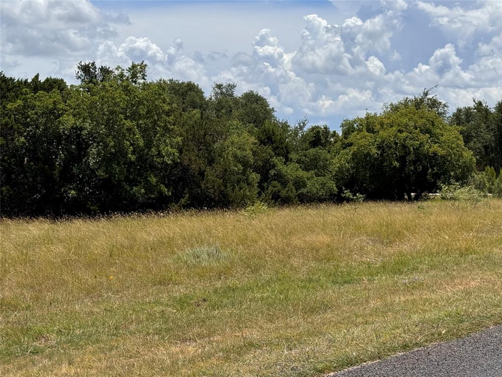 19066 White Bluff Drive Property Photo 4