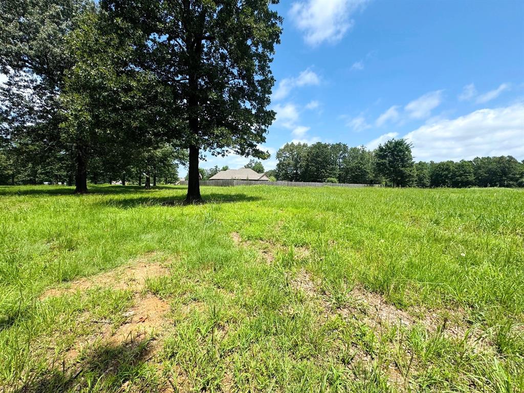 Tbd Cr 2910 Property Photo 2