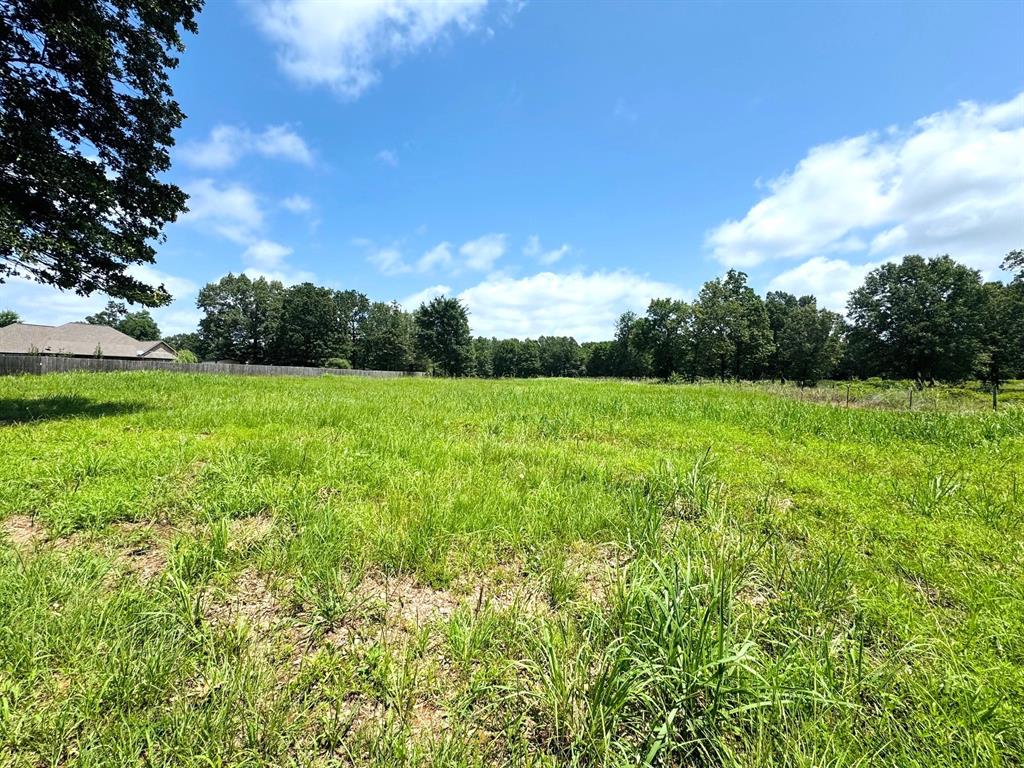 Tbd Cr 2910 Property Photo 3