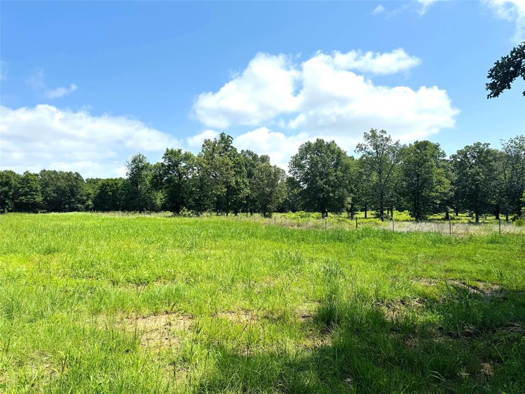 Tbd Cr 2910 Property Photo 4