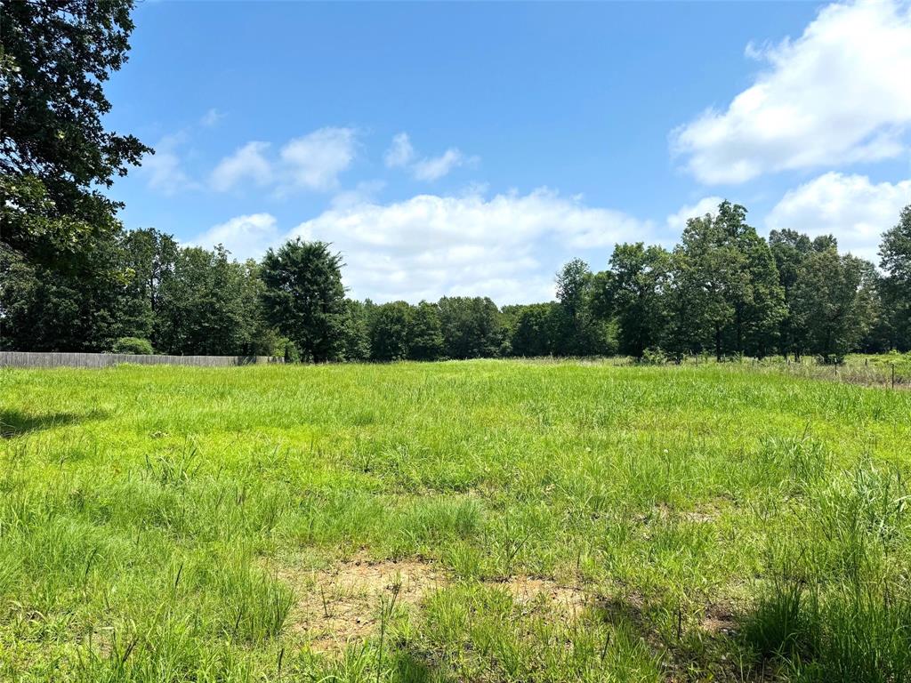 Tbd Cr 2910 Property Photo 5