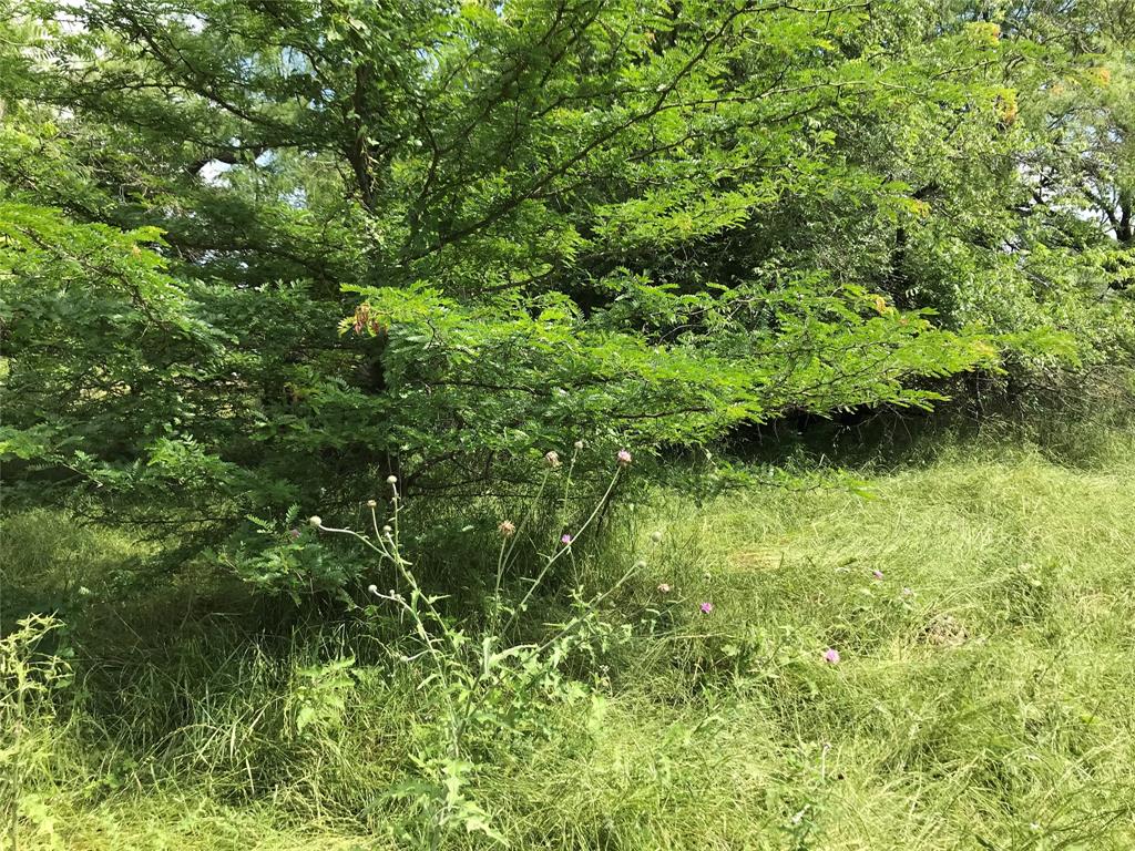 21112 Hill Terrace Drive Property Photo 8
