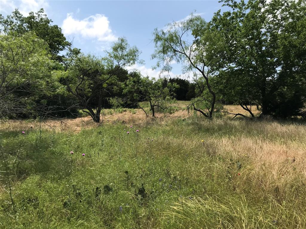 1421 Lakeside Trail Property Photo 5