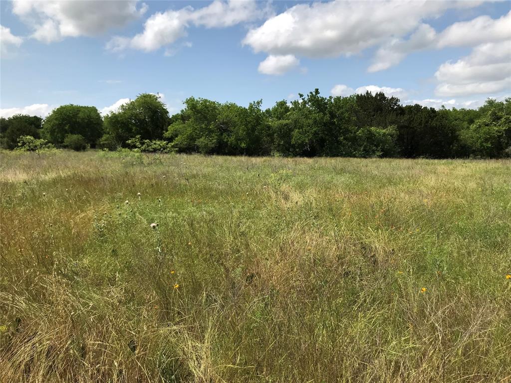 1421 Lakeside Trail Property Photo 7