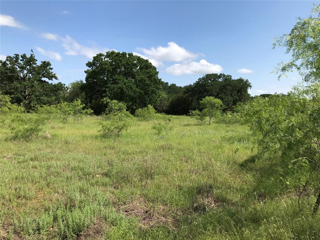 17061 Trailwood Drive Property Photo 2