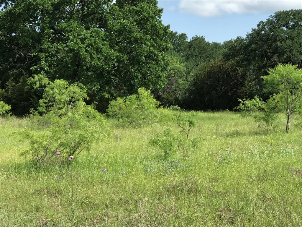 17061 Trailwood Drive Property Photo 3