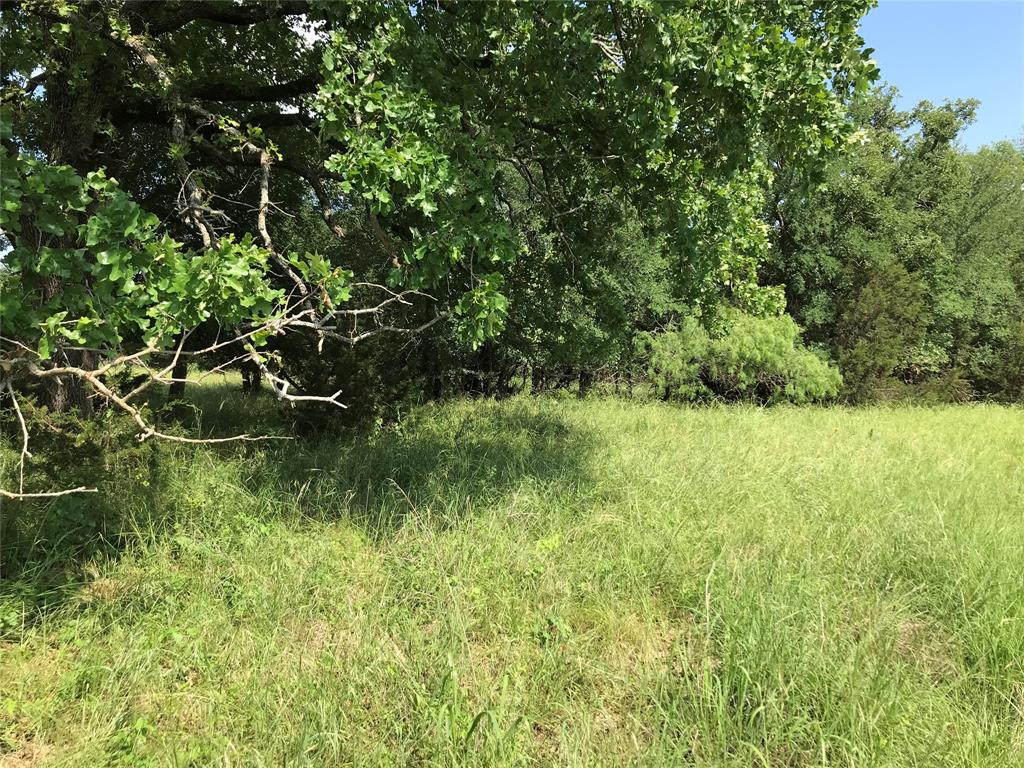 17061 Trailwood Drive Property Photo 9