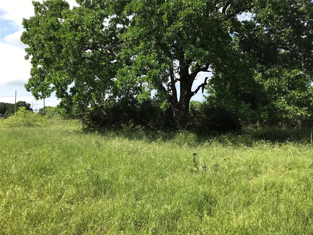 17061 Trailwood Drive Property Photo 15