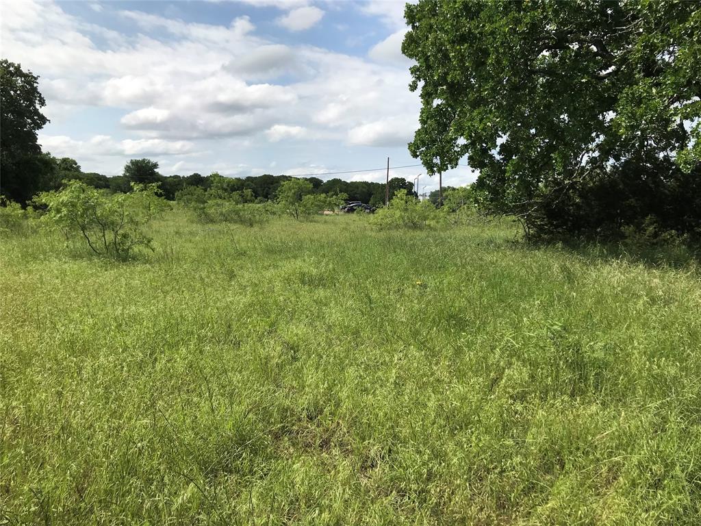 17061 Trailwood Drive Property Photo 17