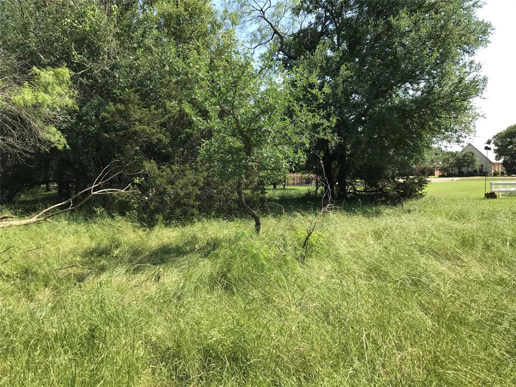 17061 Trailwood Drive Property Photo 18