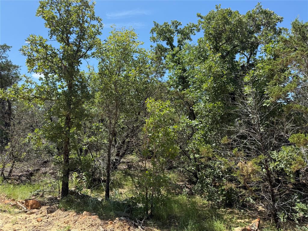 850 Fm 2256 Property Photo 10
